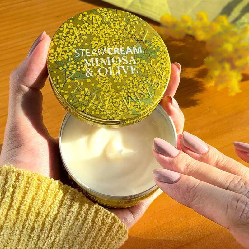 圖為限定美容成分蒸汽乳霜
含羞草與橄欖